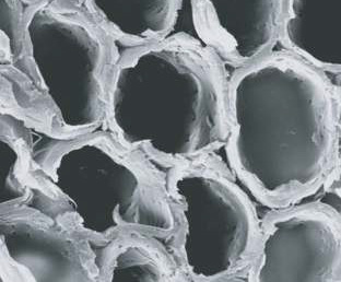 XTR Treatment Process