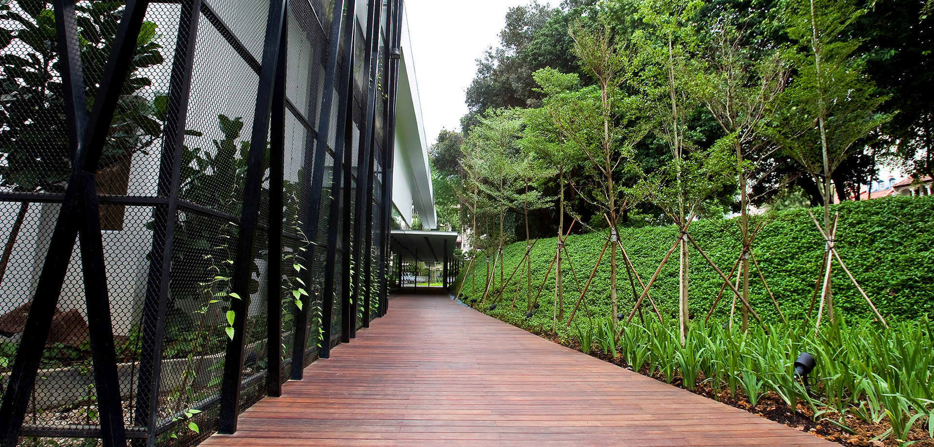 Merino Crescent(1).jpg