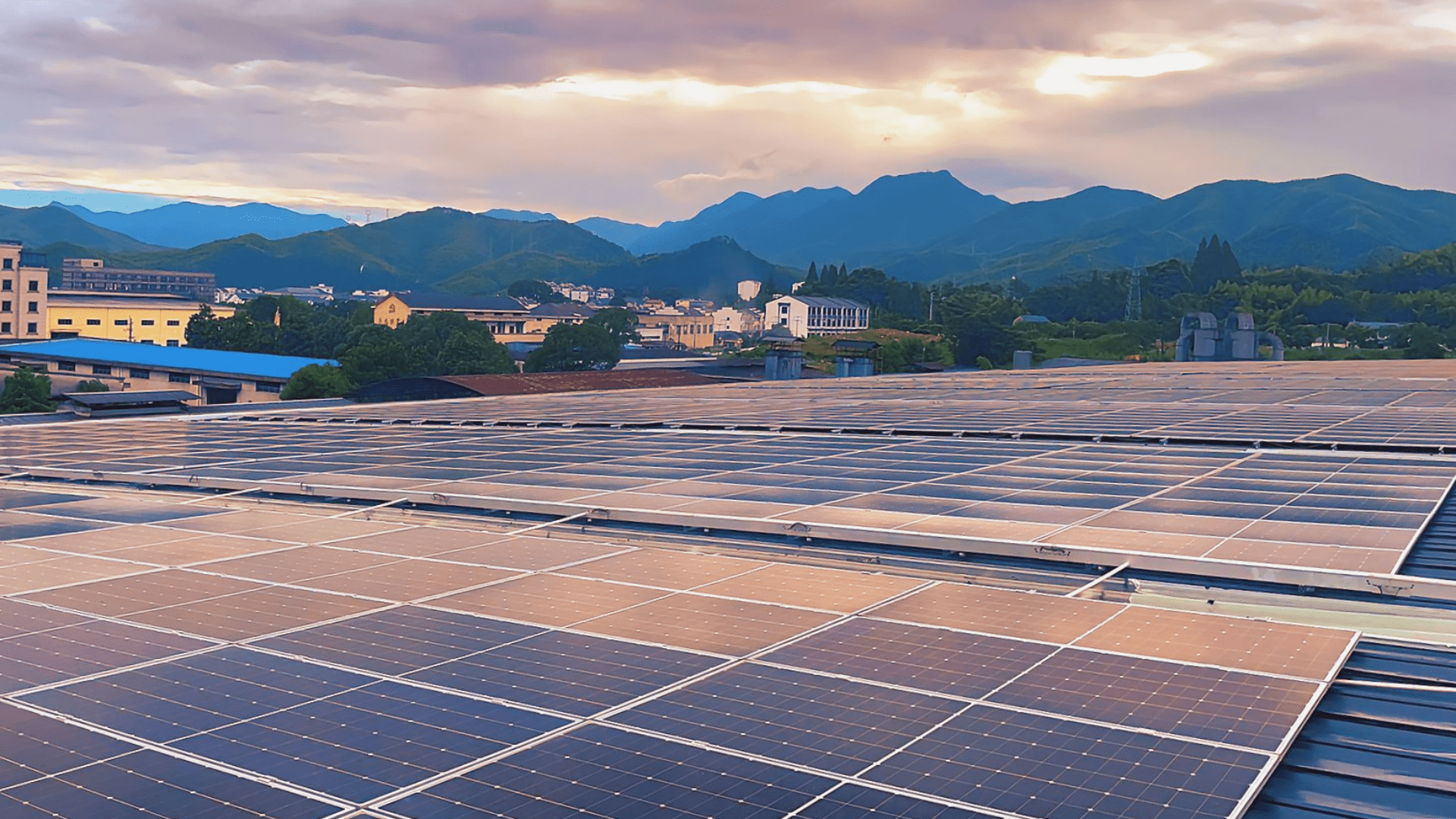 dasso believe in long-term thinking, material integrity, and responsible innovation.