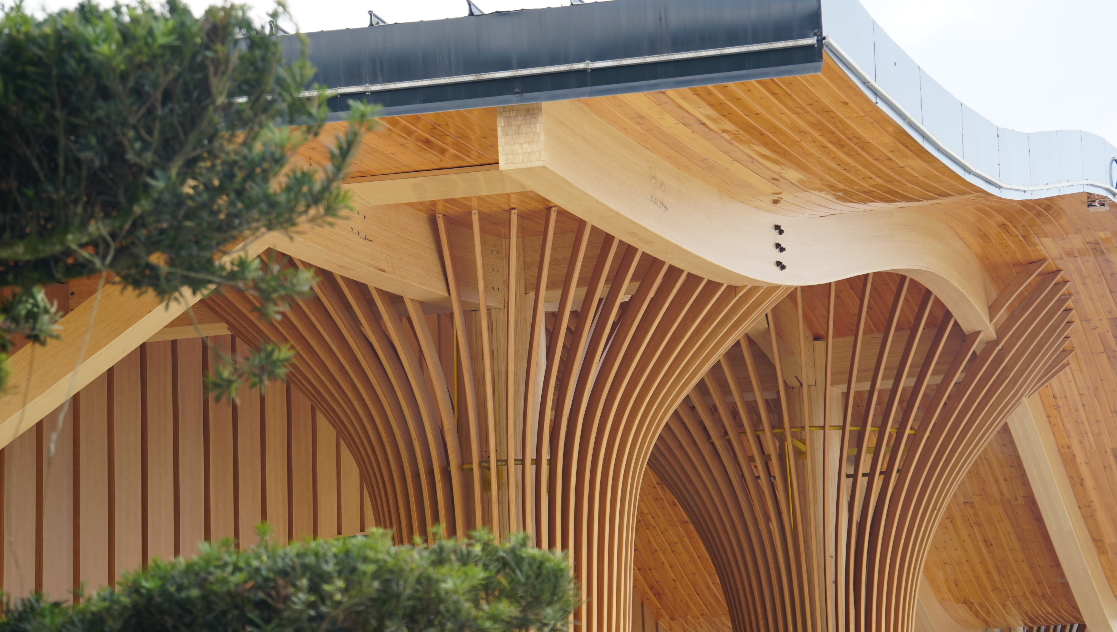 dasso Laminated Bamboo Timber
